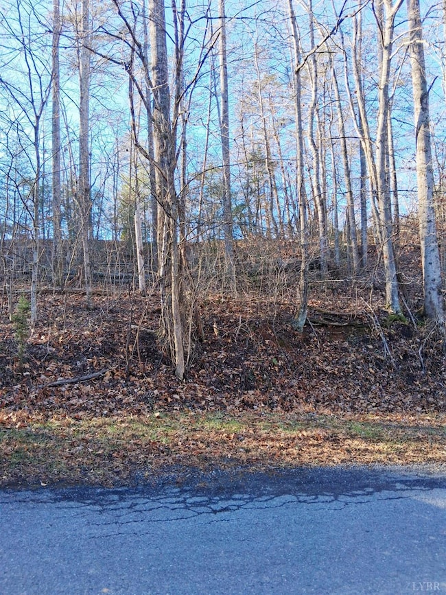 0 Peters Creek Rd unit 363400, Big Island, VA 24526 - photo 2