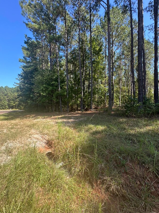 Lot 32 Petersburg Trace, Lincolnton, GA 30817 - photo 6