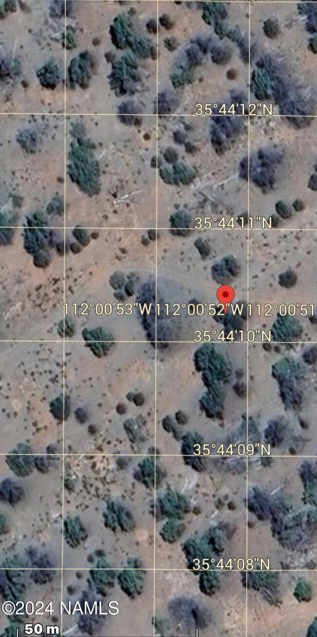 Terrain