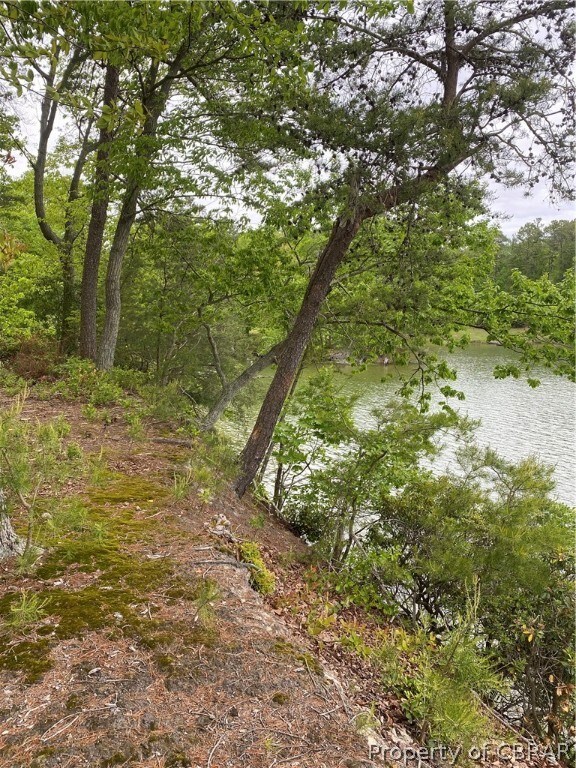 Map 17 Whittstat Ln, Heathsville, VA 22473 - photo 6