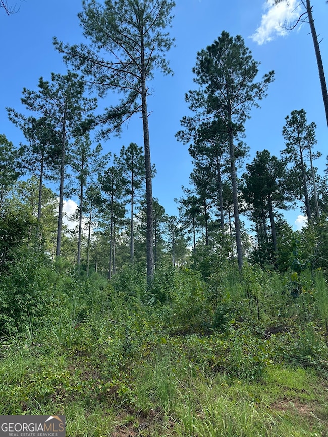 0 Fears Rd unit 10647985, Madison, GA 30650 - photo 7