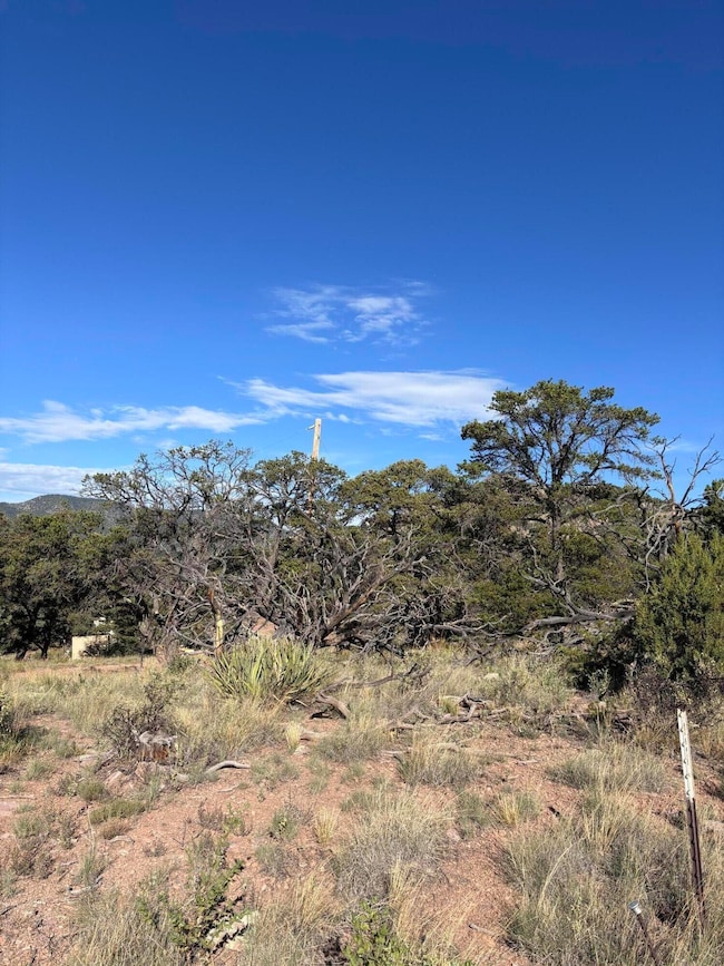 34 Lookout Cir, Datil, NM 87821 - photo 7