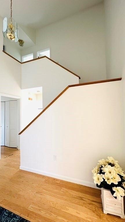 19 Fifer Ln, Lexington, MA 02420 - photo 3