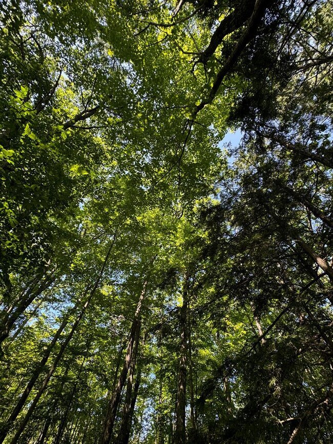 #5 Eagle Ledge Ln, Fish Creek, WI 54212 - photo 7