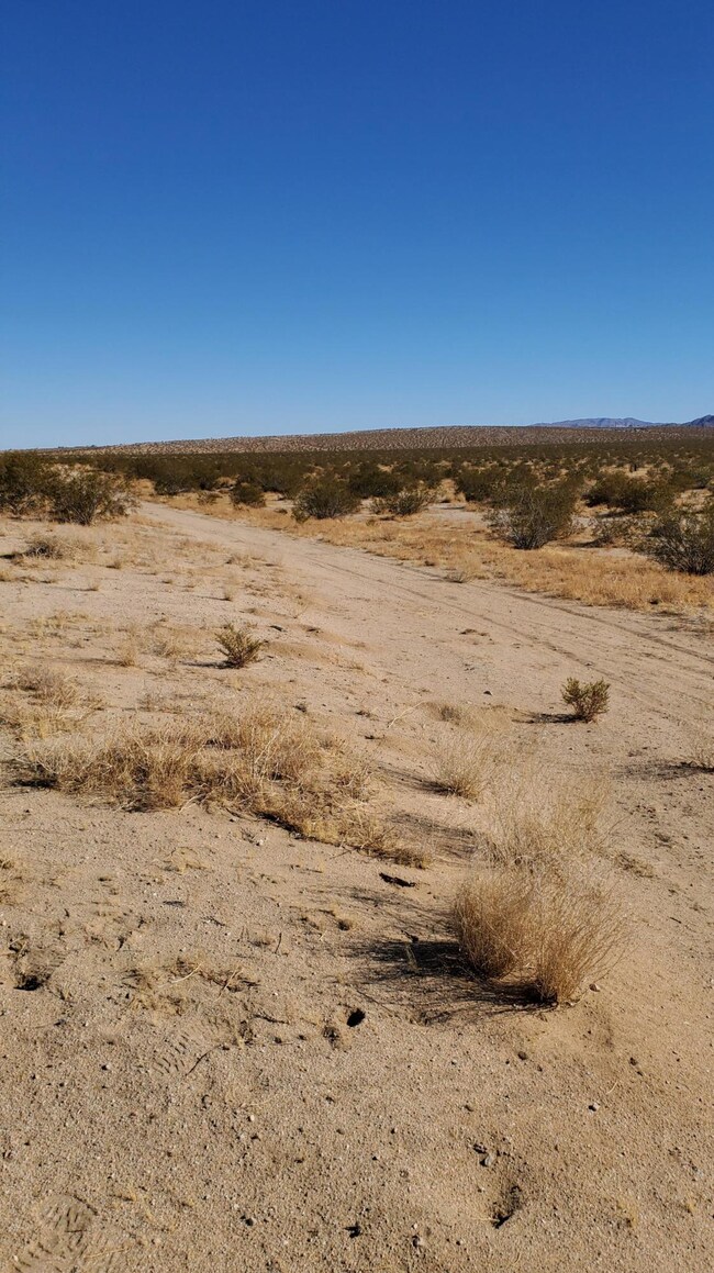 0 Pearl Springs Ave unit 219054877, 29 Palms, CA 92277 - photo 3