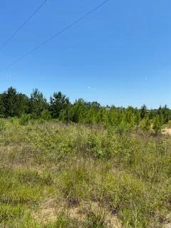 0 Stanley Rd Lot 10 unit Lot 10 45-543, Leesville, LA 71446 - photo 2