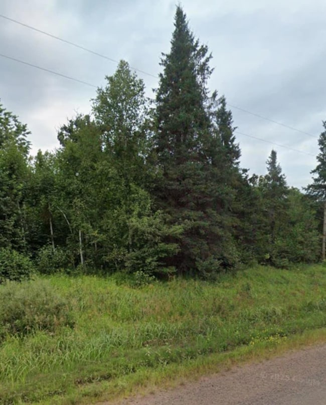 74095 Rutabaga Rd, New Dosey Township, MN 55072 - photo 2