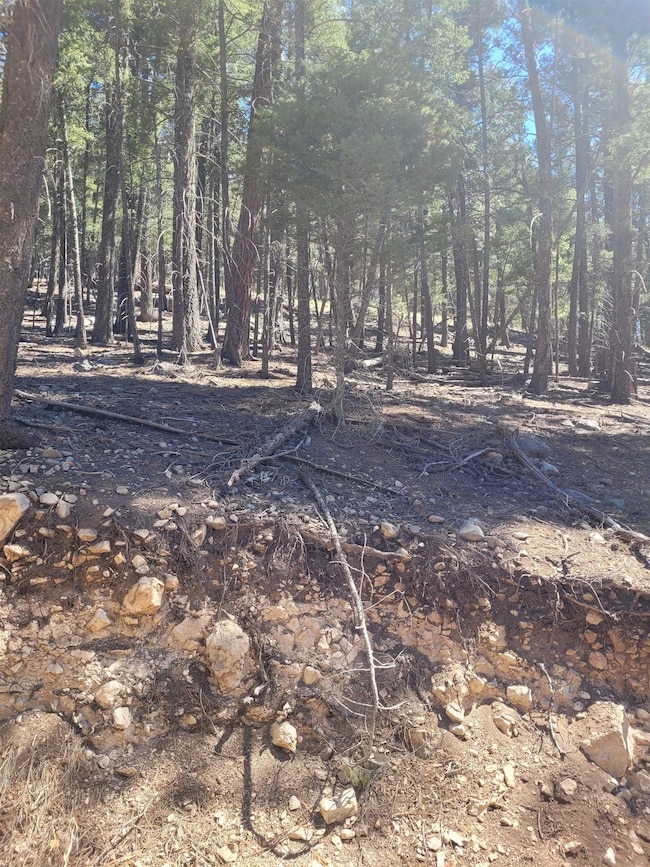 5 Forest View Rd, Cloudcroft, NM 88317 - photo 2