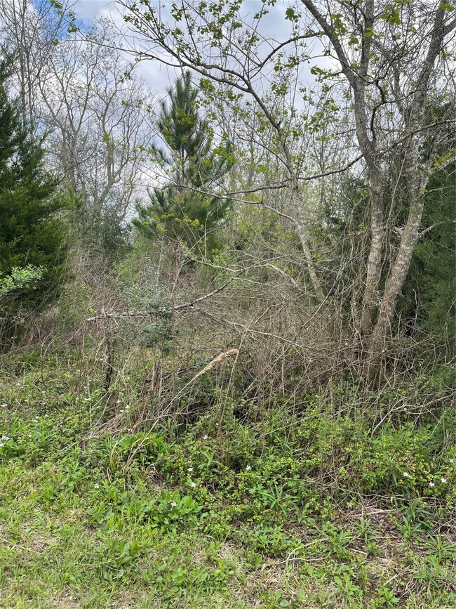 TBD Ibis Rd, Hockley, TX 77447 - photo 7