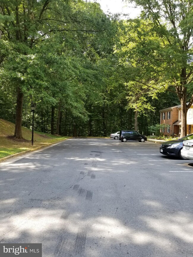 6412 Old Scotts Ct, Springfield, VA 22152 - photo 4