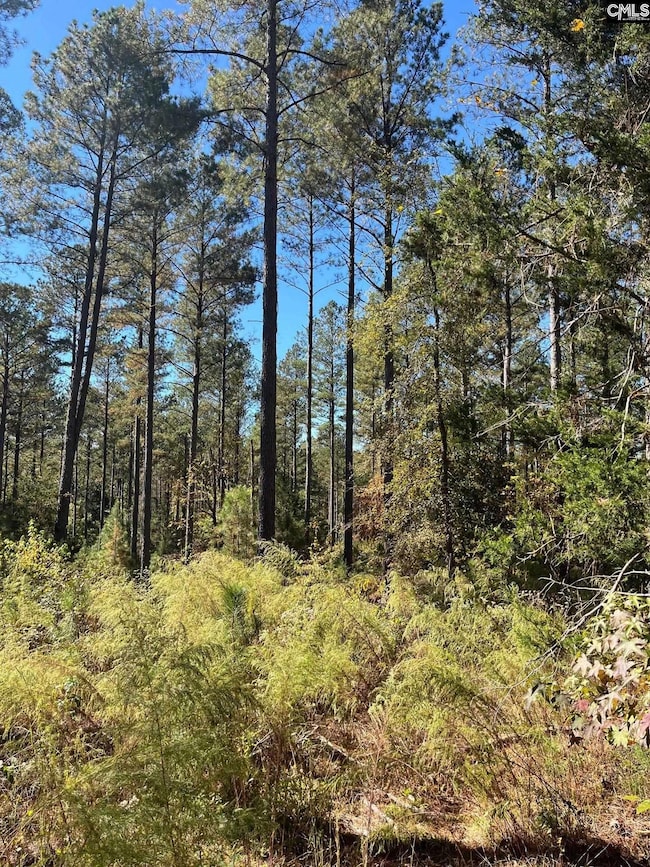 DRF 4 Dawkins Rd unit DRF 4, Pacolet, SC 29372 - photo 4