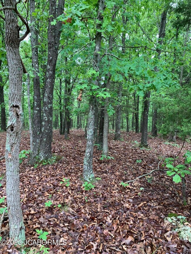 Land Photo 4