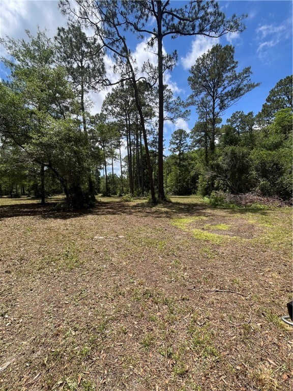 Cleared section of property est 1.25 acres.