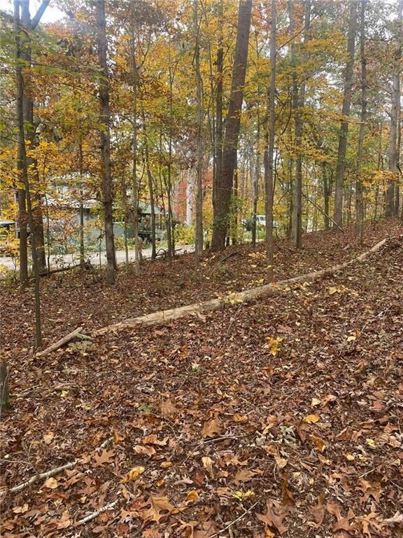 View of local wilderness