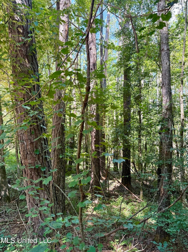 0 Broome Rd, Wesson, MS 39191 - photo 4