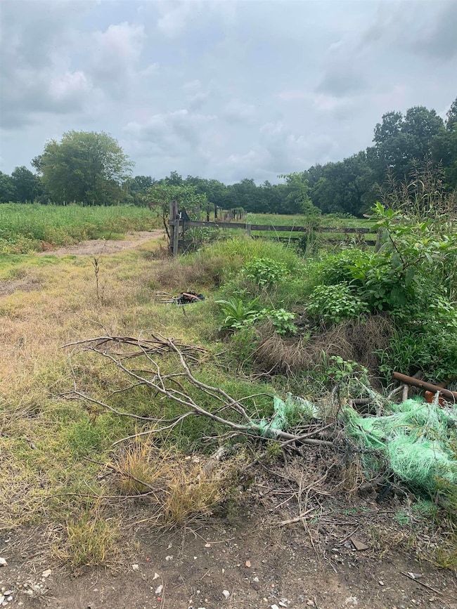 21 Acres W Oak St, Walnut Ridge, AR 72476 - photo 5