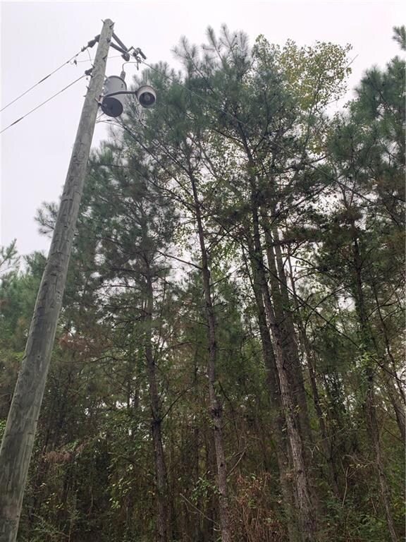 29272 Old Columbia Rd, Franklinton, LA 70438 - photo 3