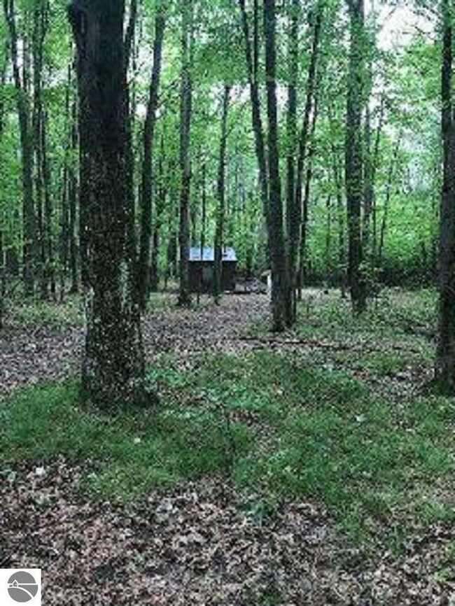 0 Canton Trail, Ogemaw Township, MI 48661 - photo 2