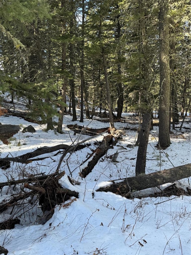 TBD Upper Sawmill Creek Ln, Other - See Remarks, MT 59421 - photo 4