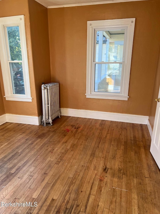 217 Francis Ave, Pittsfield, MA 01201 - photo 4