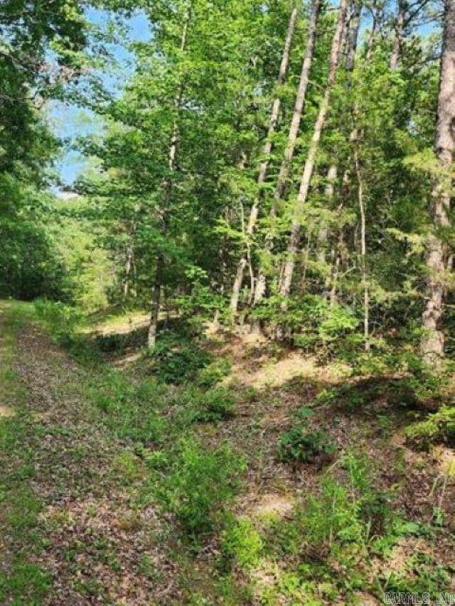 0 Owen Circles, Fairfield Bay, AR 72088 - photo 3