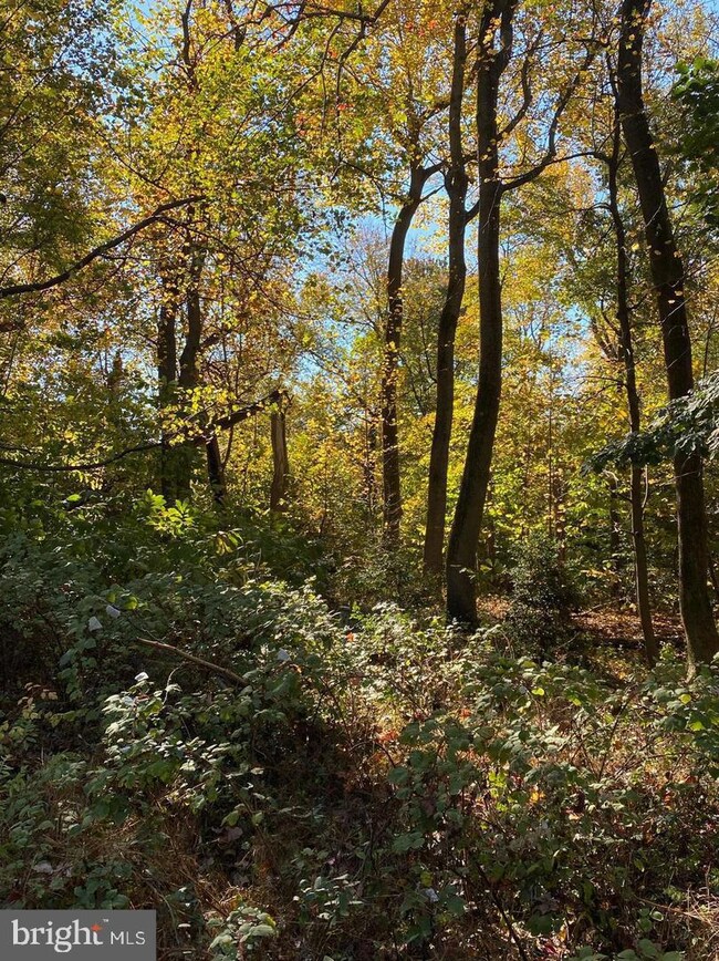 0 Hall Creek Dr, 1, Cecilton, MD 21919 - photo 6