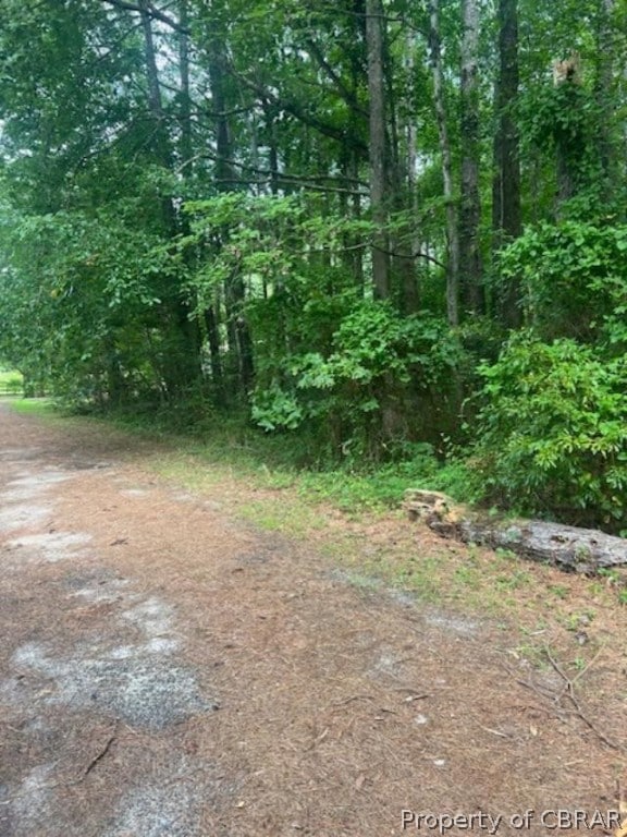 View of nature