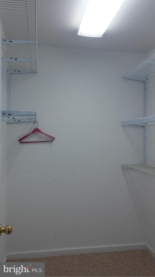 4100 Stonewall Jackson Hwy, White Post, VA 22663 - photo 4