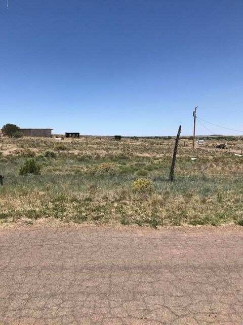 Rolling Hills #3 Lot 21 -- unit 21, Taylor, AZ 85939 - photo 5