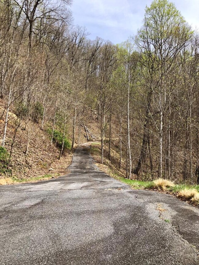 Bottom of Paved Driveway