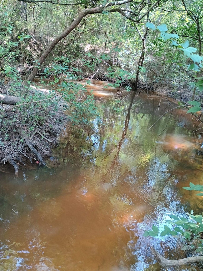 2905 County Road 441, Magnolia Springs, TX 75956 - photo 3