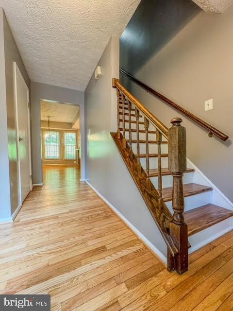 11918 Gold Needle Way, Columbia, MD 21044 - photo 4