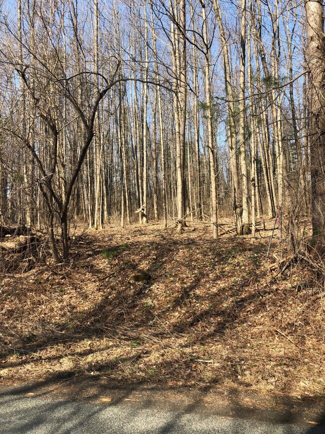 unlisted-address, Great Barrington, MA 01230 - photo 2