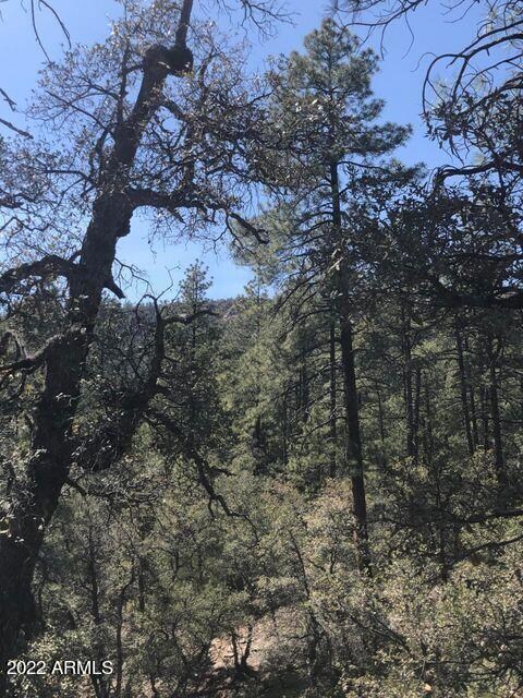 Parcel 1 N Pine Hollow Trail unit 2, Pine, AZ 85544 - photo 2