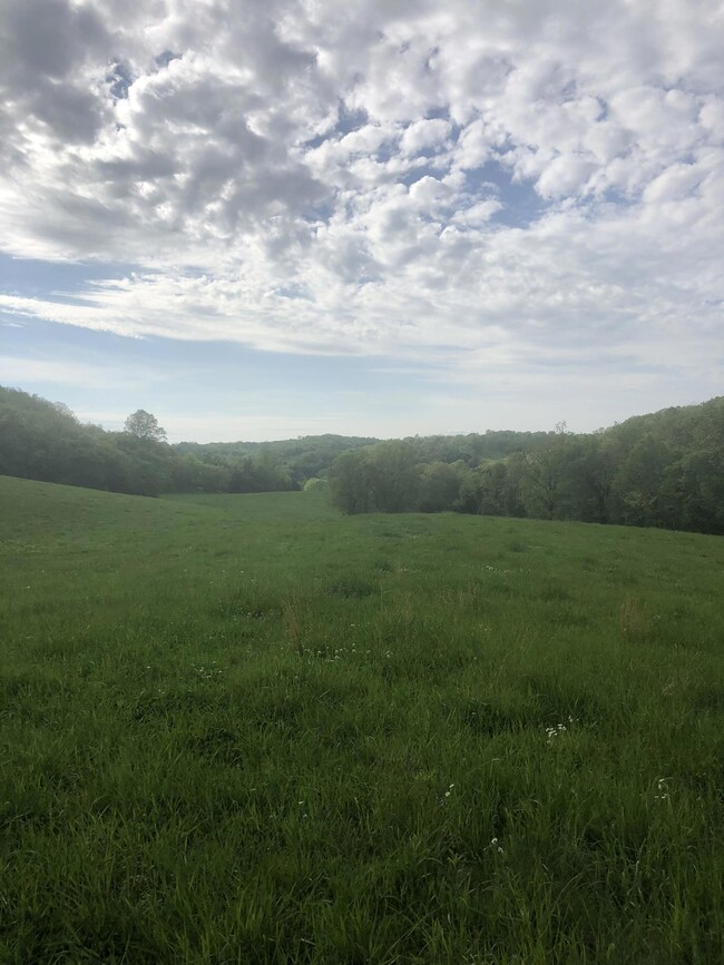 View of the backside of the property