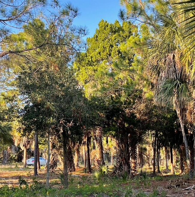 13535 SW Airport Rd SW, Cedar Key, FL 32625 - photo 7