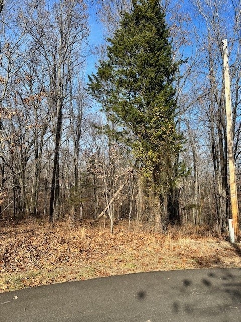 Lot 16 Saxilby Ln, Bella Vista, AR 72715 - photo 2