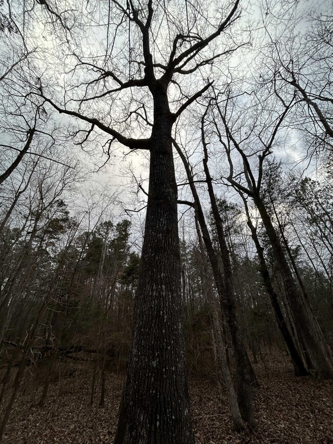 0 Tapp Rd unit 2507886, Cedar Grove, NC 27541 - photo 3