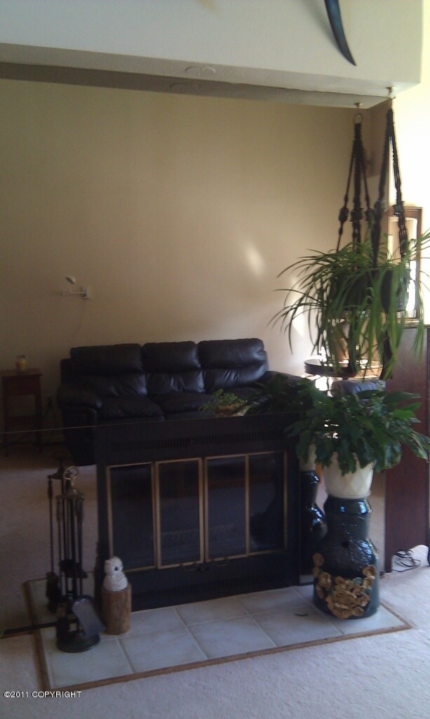 Mirrored Fireplace