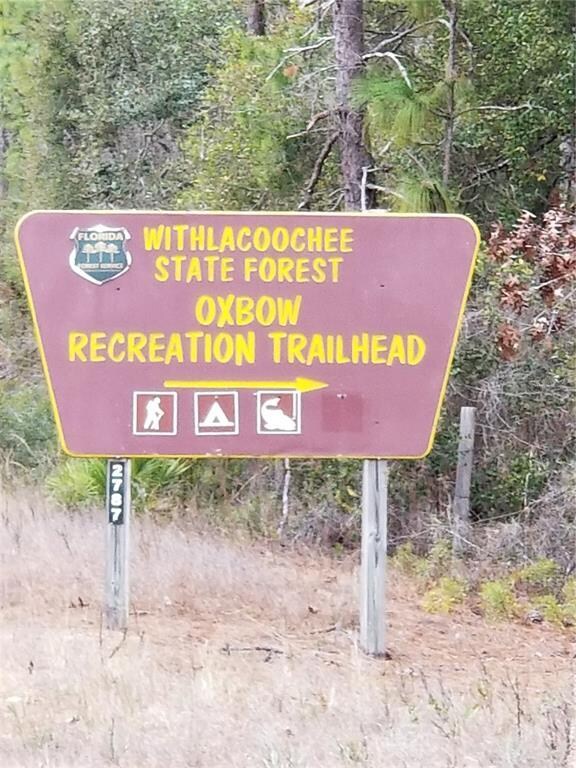 State Park Trailhead next to the lot (1 of 2)