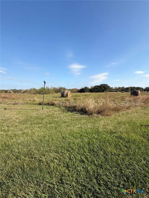 000 River Hollow Way, Blessing, TX 77465 - photo 4