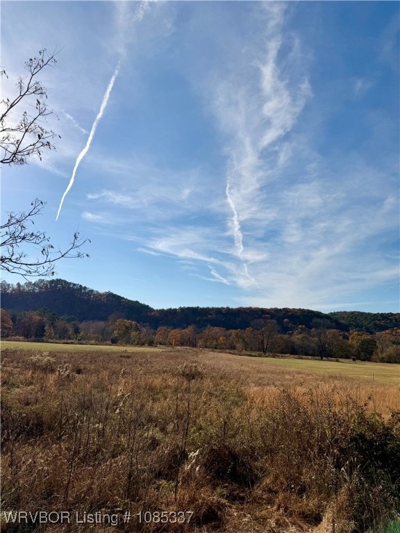 TBD Cr 4730, Hagarville, AR 72839 - photo 5