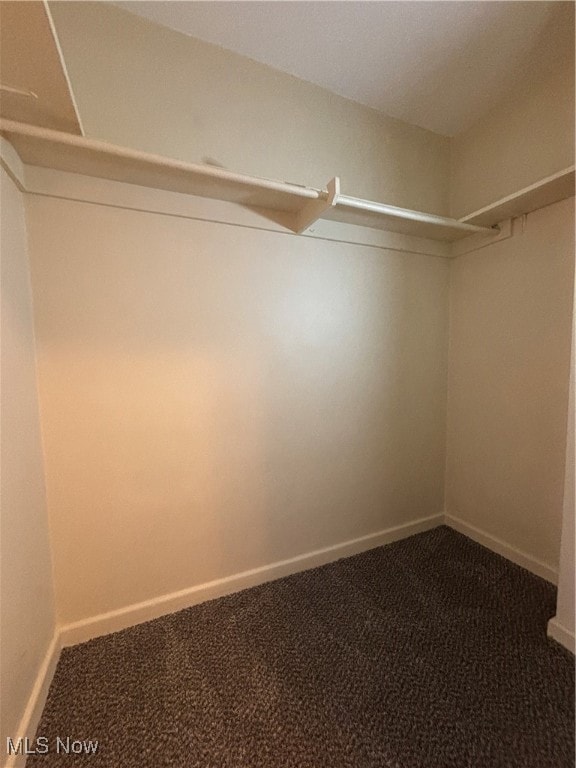 Edgewater Towers Condominiums, Lakewood, OH 44107 - photo 3