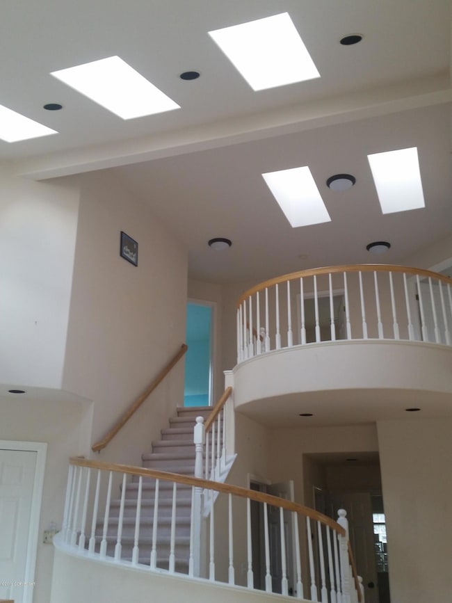 18712 Snowy Plover-Staircase