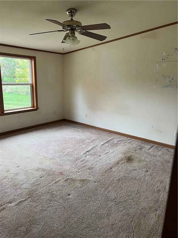 24125 Ellis Ave, Siren, WI 54872 - photo 6