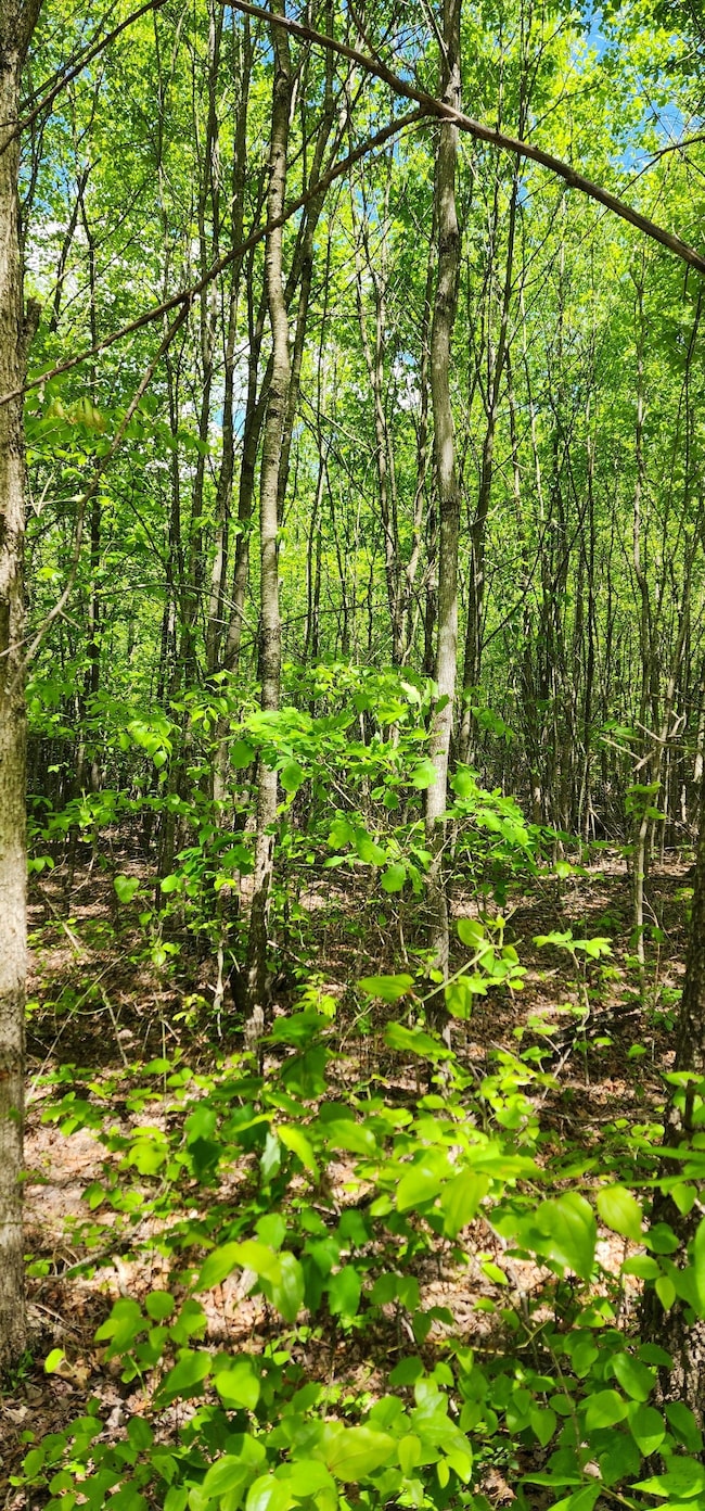 0 Tootley Campbell Rd, Monteagle, TN 37356 - photo 2