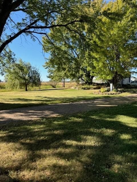 10928 Hwy Ss, Bloomer, WI 54724 - photo 3