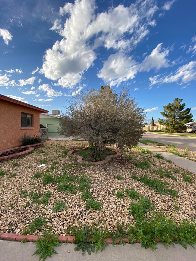 7876 Lilac Way, El Paso, TX 79915 - photo 7