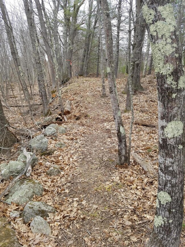 5 Young Rd, Lisbon, ME 04250 - photo 4