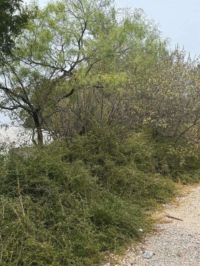 View of local wilderness